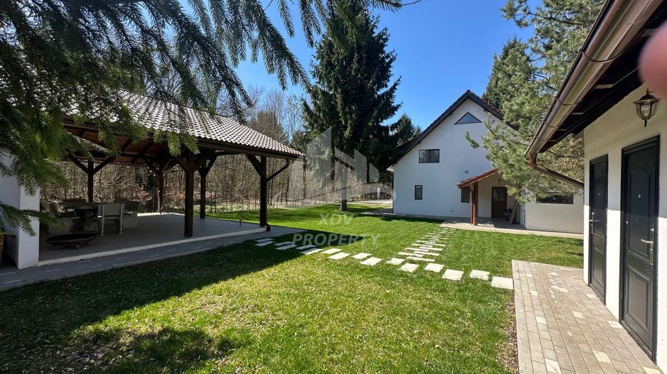 Pensiune/ Vila Valea Avrigului - Poză 3