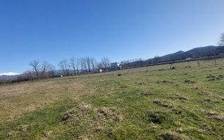 TEREN CU PLANTAȚIE DE TRANDAFIRI ,,ROSA DAMASCENA,\ \CARANSEBEȘ\JUD.CS - Poză 4