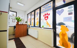 Spatiu Comercial Prelungirea Ghencea | Vizavi Dimri Residence - Poză 5