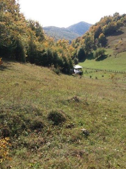 Teren Dambovicioara Arges - Poză 2