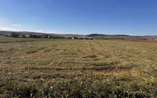 Teren intravilan – 5.800 mp | Jucu de Mijloc - Poză 2