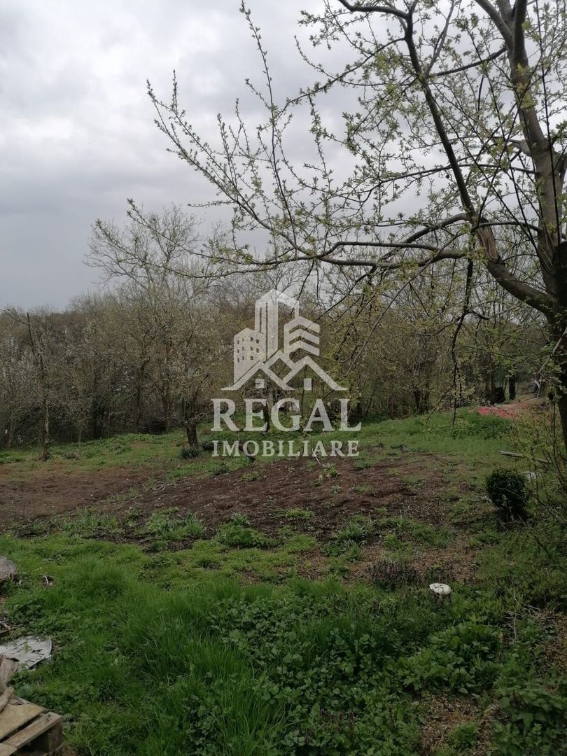 Casă de vânzare în Cerisor – liniște, natură și teren generos! - Poză 5