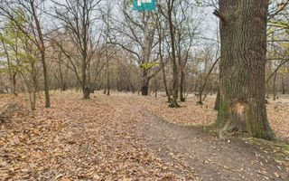 Teren spectaculos la  Periam Port - Poză 8