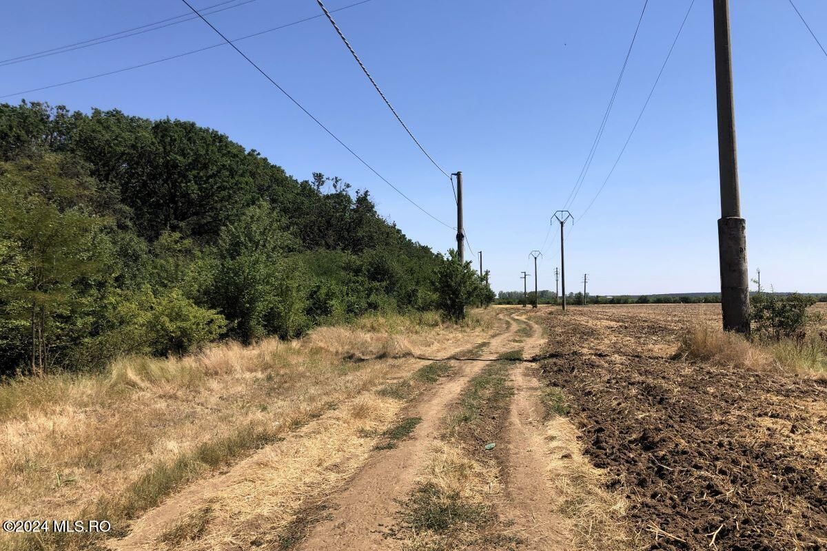Moara Vlasiei - langa Padurea Biglaru, 11.884 mp, deschidere 40 ml - Poză 1