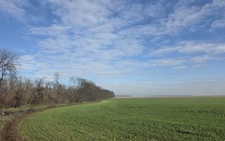 FUNDENi-Oportunitate Majoră de Investiție: 92 286mp - PRET IMBATABIL! - Poză 2