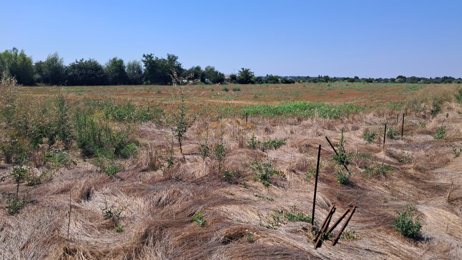 Teren Intravilan 500 mp de Vânzare – Vidra - Poză 2
