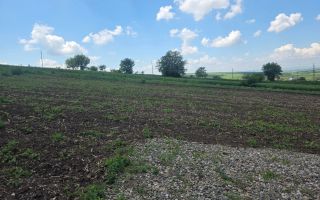 TEREN INTRAVILAN | SFÎNTU ILIE, SUCEAVA | 40.000 €/parcelă - Poză 4