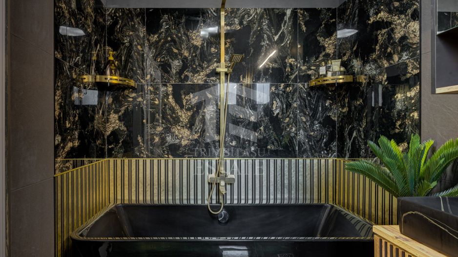Pipera Henri Coanda Vila Premium - Poză 40