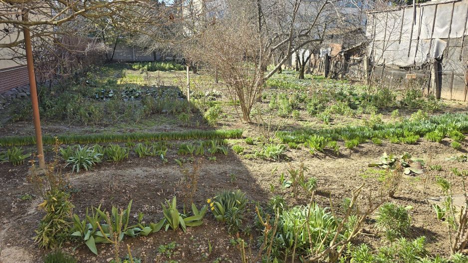 BRASADAS vinde casa 3 cam 120mp teren 7 ari zona Micro 17. - Poză 3