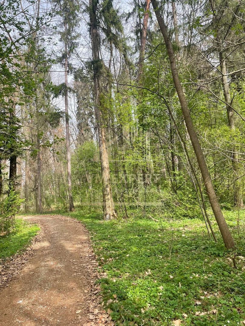 TEREN INTRAVILAN 1800 MP MIHAESTI ARGES COMISION 0 - Poză 6