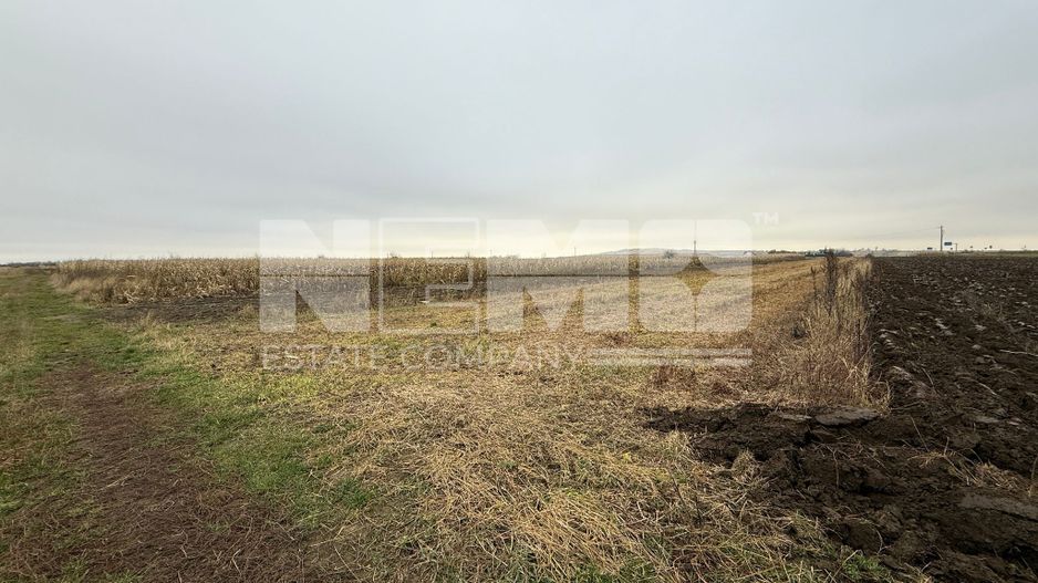 Parcela teren agricol 50 Ari - Poză 2