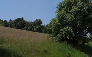 Teren intravilan -Sânișor- 8700 mp - Poză 2