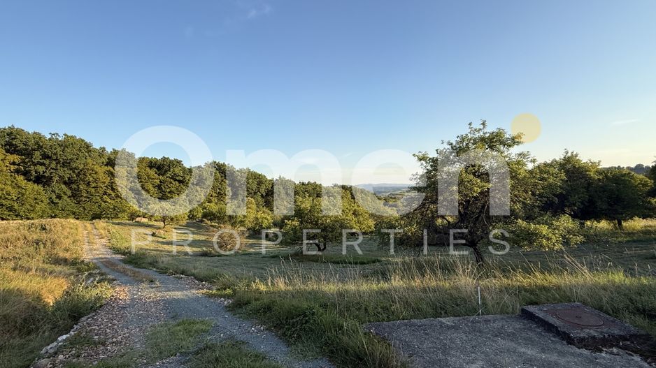 Teren intravilan de vânzare 7.000 mp – Groși, spre Dumbrăvița - Poză 1