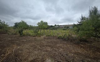 Ansamblu rezidențial cu 2 case în Scoposeni, comuna Gorban – teren 2400 mp, utilități complete - Poză 8