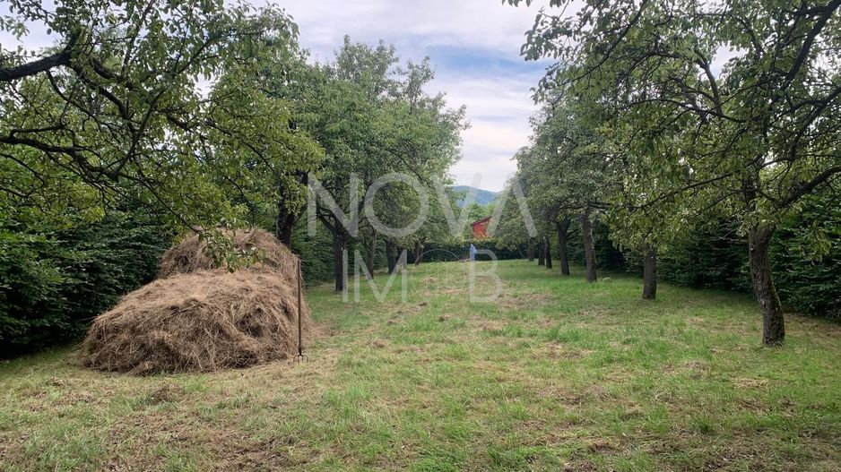 Teren Intravilan - Tropinii Noi - Poză 4