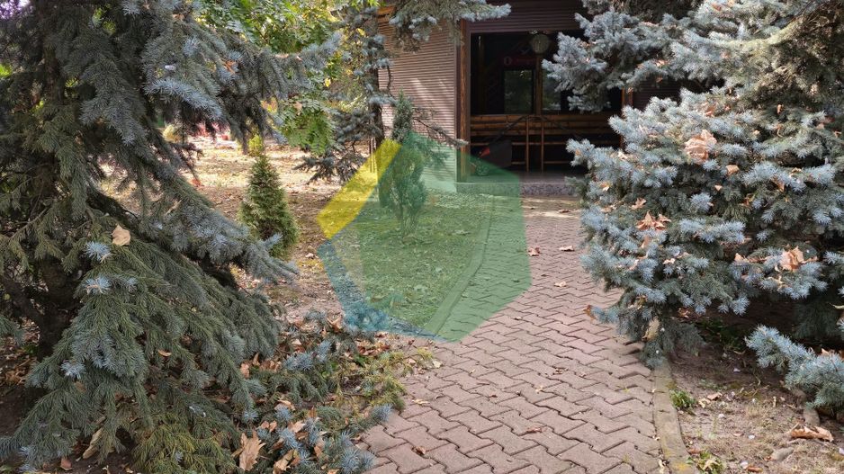 VILĂ IMPRESIONANTĂ CU PARC PRIVAT | 400 mp Construiți | 2.800 mp Teren - Poză 9
