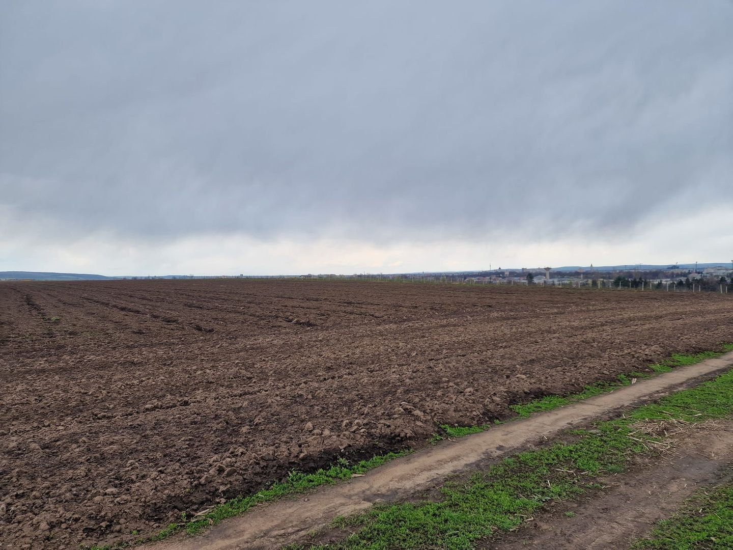Teren 10,000mp Bacau / Strada Alexandru Safran - Poză 10
