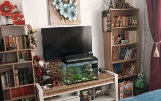 Apartament 2 camere zona Theodor Pallady - Ozana - Poză 3