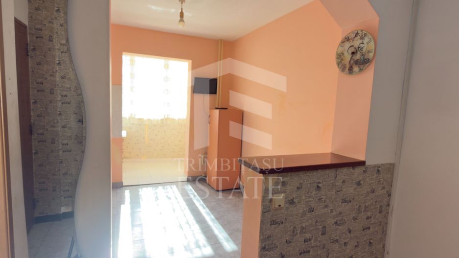 Apartament 3 camere Lacul Tei Teiul Doamnei - Poză 8