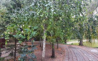 Teren 6779mp - Zona IKEA - Poză 1