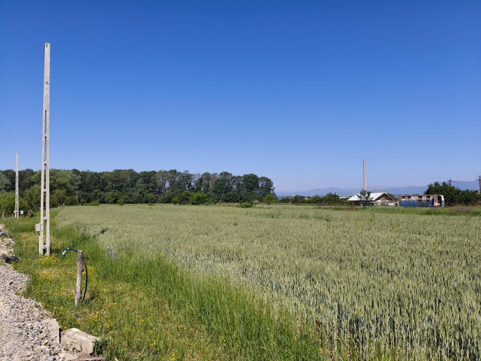 Teren 10.294 mp de vânzare Târgu Jiu | Intravilan + Extravilan | Utilități - Poză 3