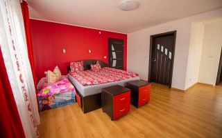 CASĂ DE ÎNCHIRIAT – TIUR-BLAJ, JUDEȚUL ALBA. Casă moderna si spațioasă, suprafață 300 mp, 2 sufragerii, 3 dormitoare, 3 bai. Toate utilitatile. - Poză 6