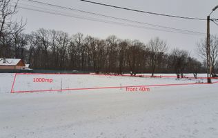 Teren 1000mp intravilan la liziera padurii, acces din drum asfaltat.