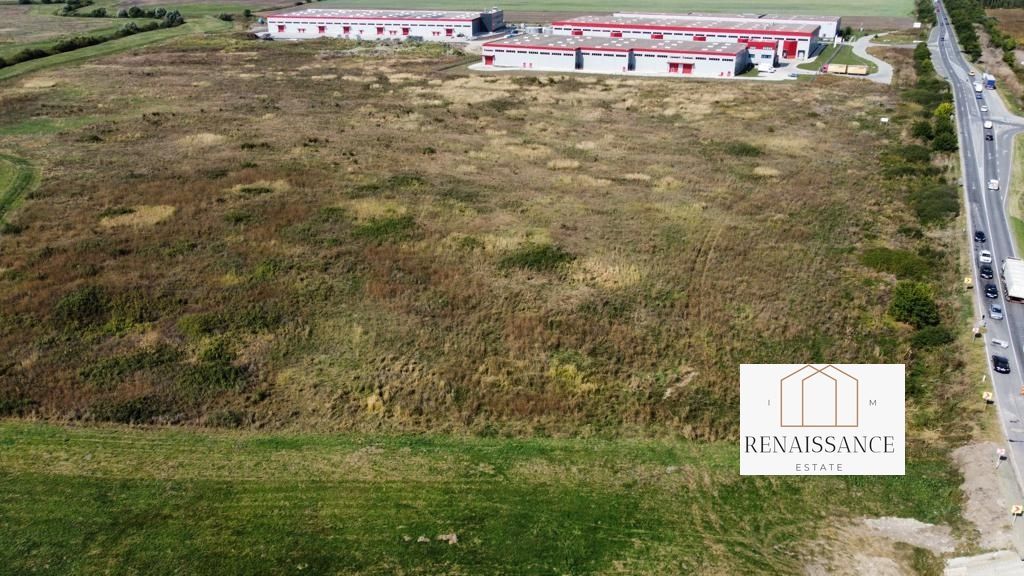 Teren PUZ Aprobat Pretabil Hale | 55.000mp - Park Industrial Sanandrei - Poză 5