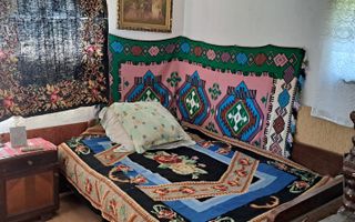 CASA 4 CAMERE, TEREN 1571 MP, BUGHEA DE SUS, ARGES - Poză 12