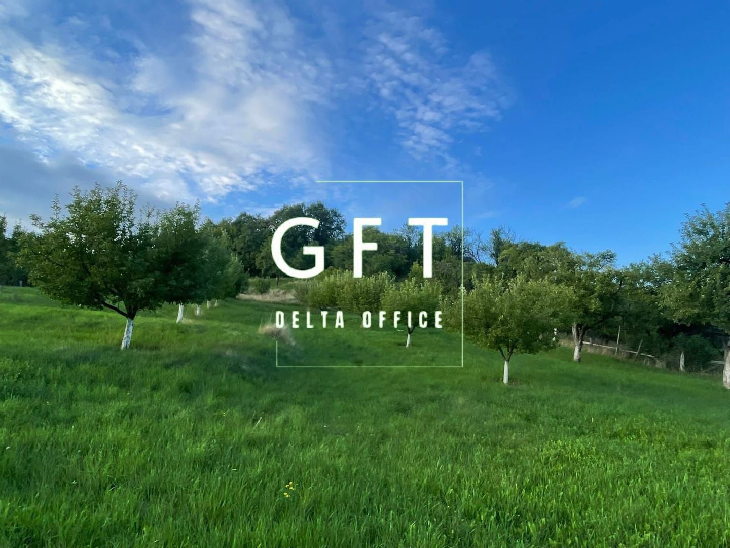 PARCELE TEREN INTRAVILAN 5-29.2 ARI - DOROLEA - Poză 6