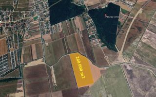 Teren 26 ha – Tamaș, Corbeanca - Poză 1