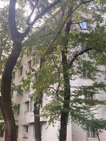 Apartament 2 camere Pajura | Poștă - Poză 6