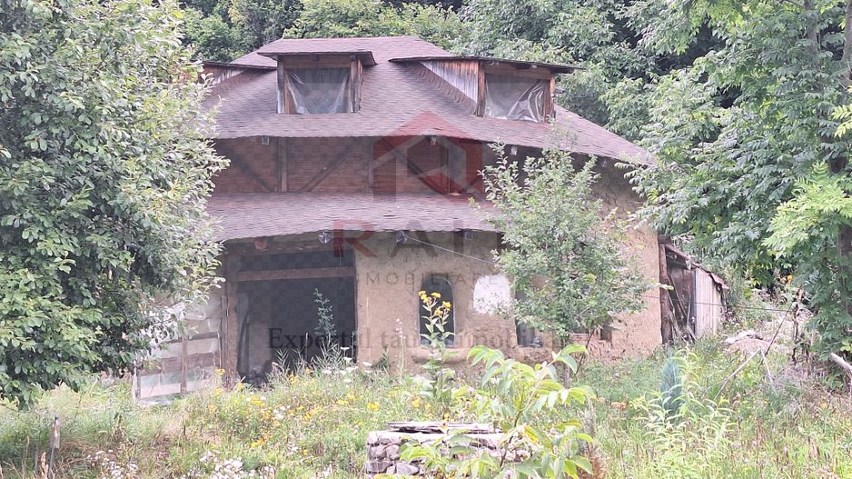 VANZARE ANSAMBLU CASUTE BRADULET ARGES - Poză 7