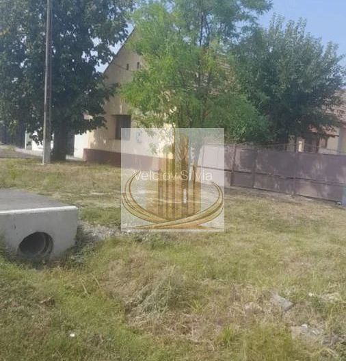 Casă individuală Dudeștii Noi | 2.526 mp teren | Pivniță - Poză 8