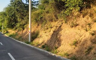 TEREN 1690 MP - ORAS STREHAIA - Poză 5