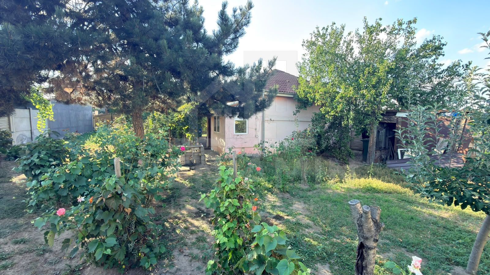 Casa-cu-Teren-Generos-(625 mp)-Panouri-Solare – Bariera-Valcii - Poză 2