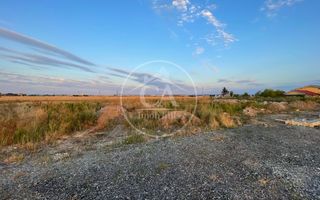 Teren intravilan de inchiriat in Nojorid, Bihor - Poză 5