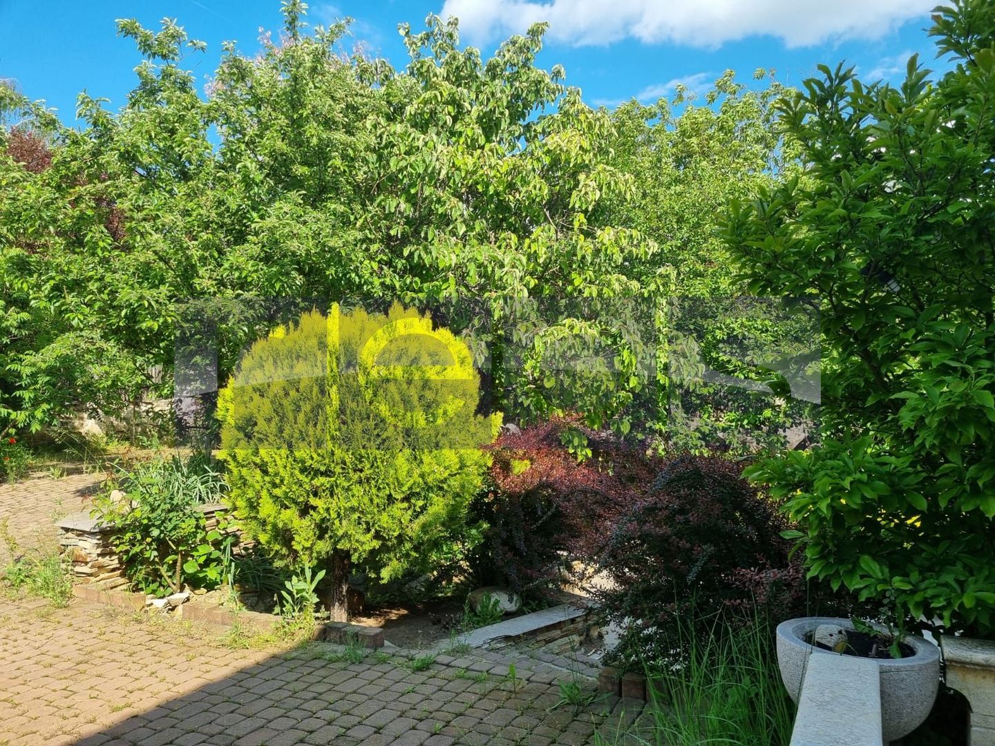 INCHIRIERE SPATIU COMERCIAL-2 VILE | ZONA MOGOSOAIA - Poză 66