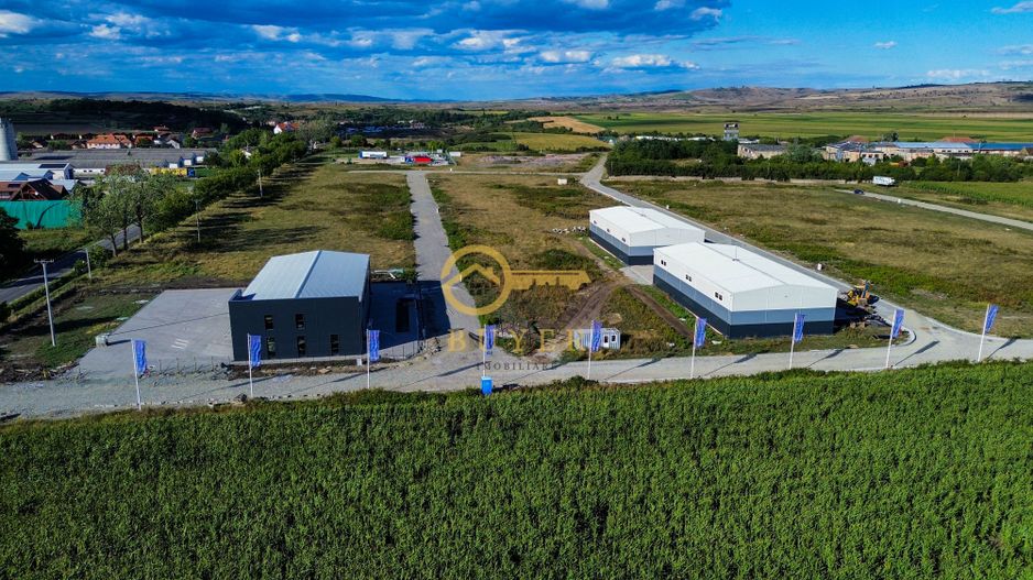 Teren intravilan cu PUZ aprobat pt hale industriale- Zona Sura Mica - Poză 4
