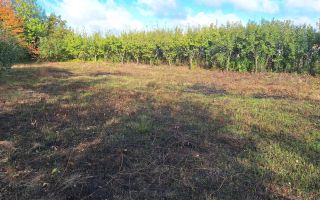 Terenuri intravilane în Horlești-Rediu, Iași, zone rezidențiale - Poză 4