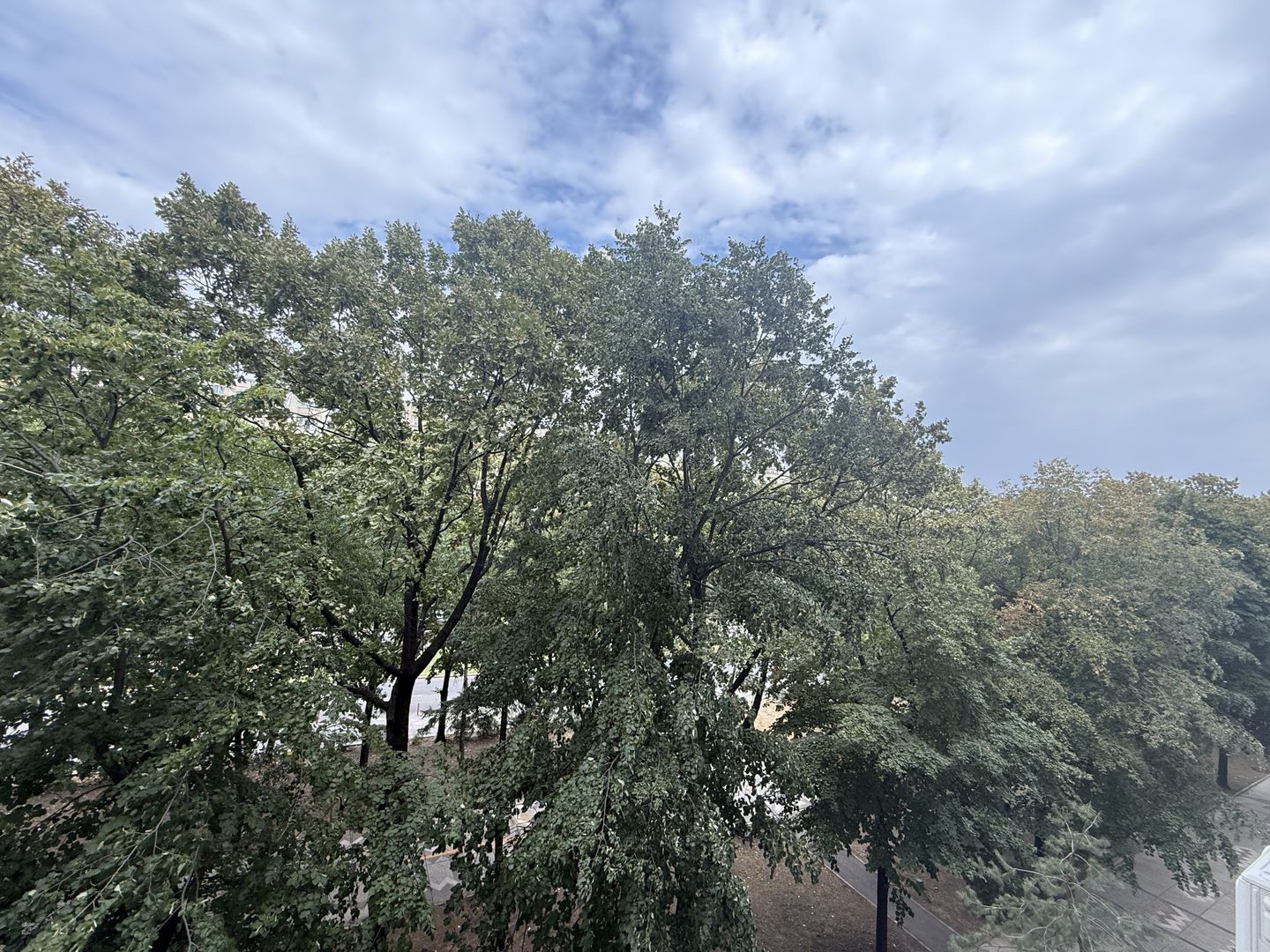 Vanzare apartament 4 camere Bld. Unirii - Fantani Bucuresti - Poză 22