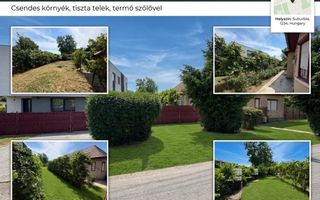 Casa 3 camere, 1 baie,2.000 mp teren,Comision ZERO - Poză 4