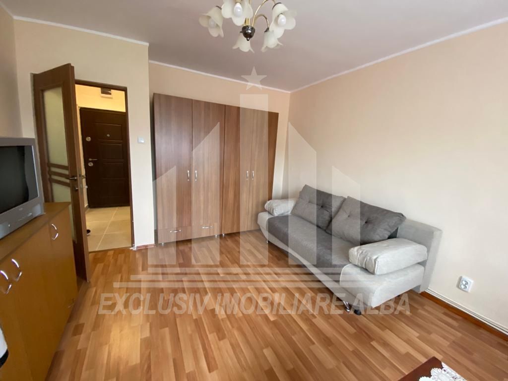 Apartament cu o camera in Cetate - Poză 3