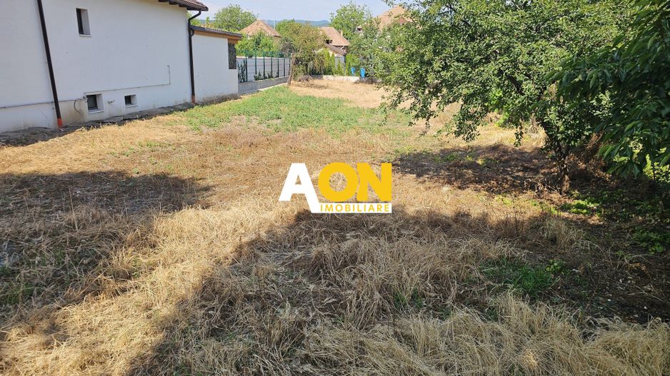 Teren intravilan 704 mp, zona HCC, Cetate - Poză 1