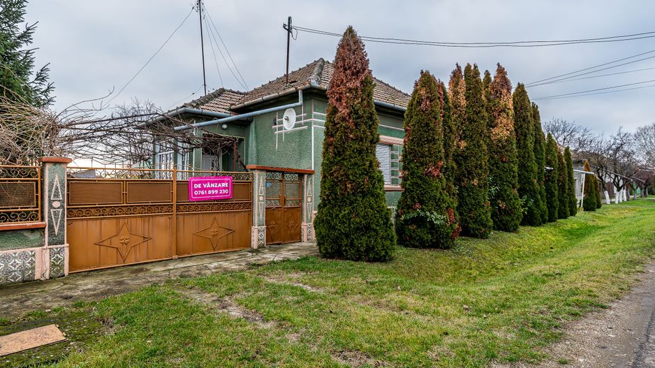 Casă + livadă tânără + curte 2.500 mp în Dorobanți - Poză 1