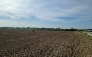 InvestZone vinde 10 ha la Santandrei - Poză 4