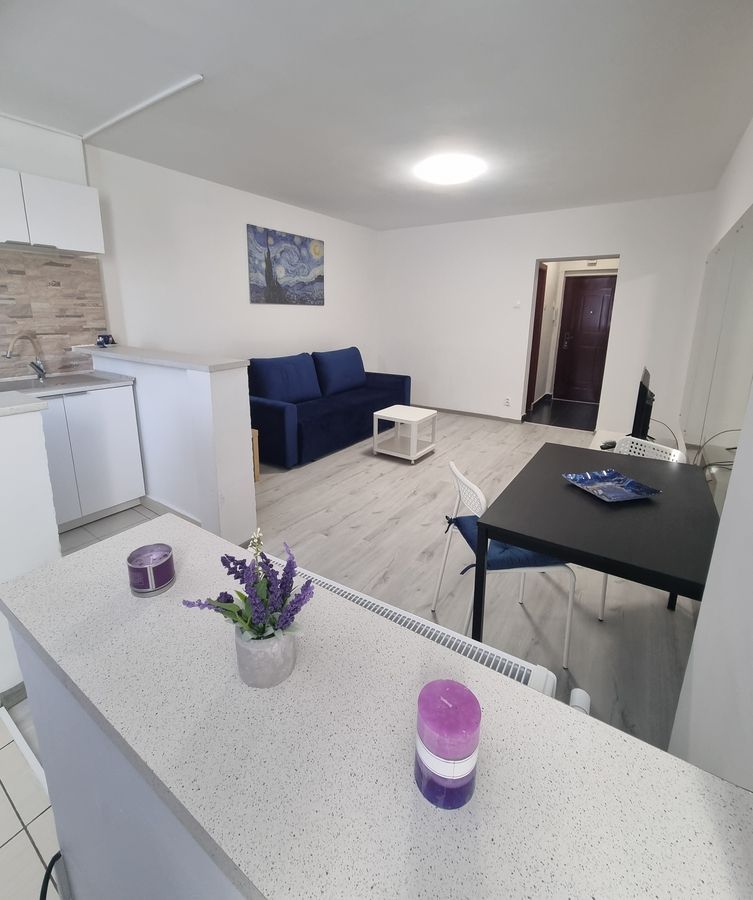 Garsoniera de inchiriat - Gara de Nord / Victoriei - Poză 1