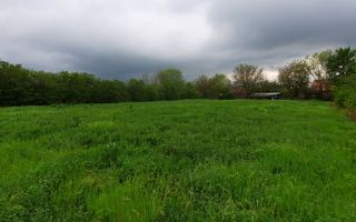 🏡 Casă cu livadă sat Prisăcani  - Teren 4500 mp - Poză 8