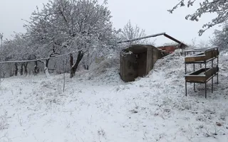Teren de vanzare Adâncata - Poză 13