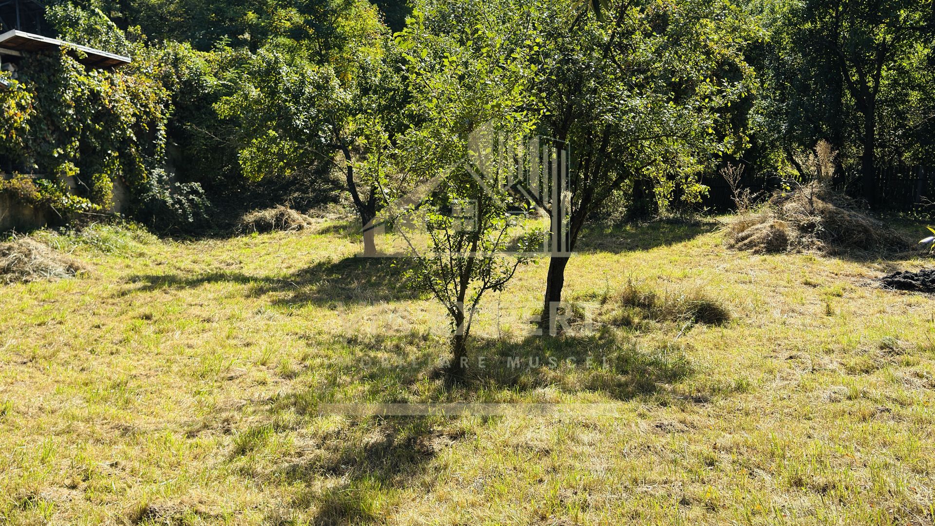 TEREN INTRAVILAN 3234 MP LEREȘTI VOINEȘTI ARGEȘ - Poză 39